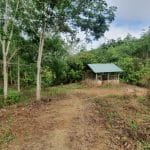 Tanah Purun Kuala Klawang