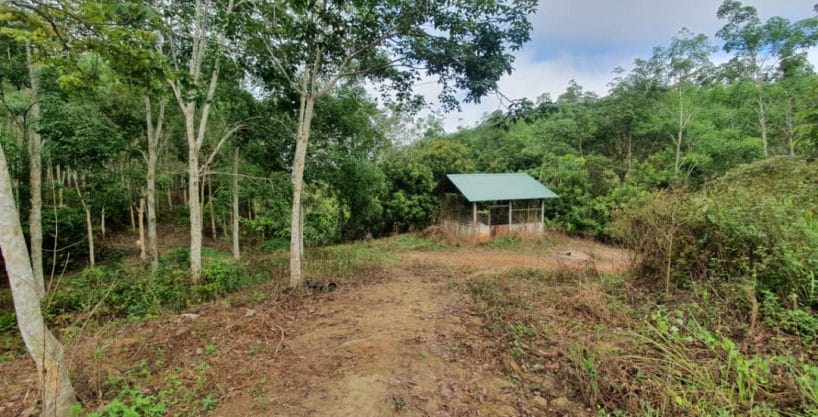 Tanah Purun Kuala Klawang