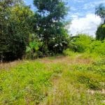 Tanah Pertanian Dengkil Cyberjaya