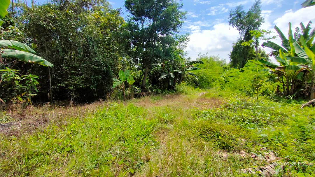 Tanah Pertanian Dengkil Cyberjaya