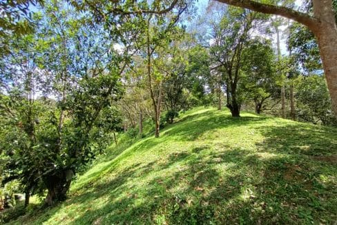 Resort dan dusun Janda Baik Bentong