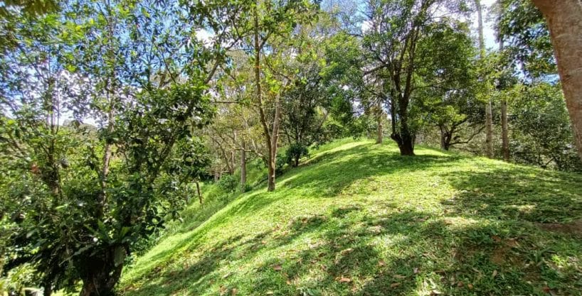 Resort dan dusun Janda Baik Bentong