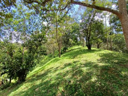 Dusun Janda Baik Bentong