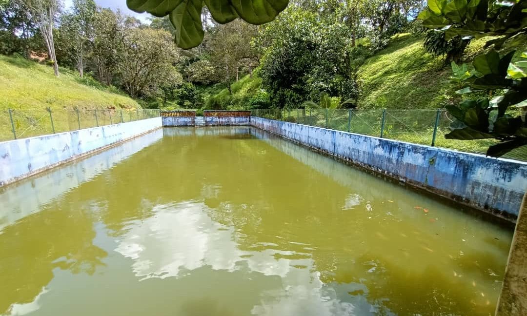 9ba26591-ce2b-484d-a5a3-88e8dd4e3d79