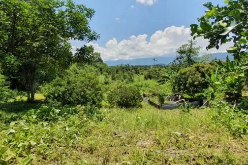 Tanah Pertanian Ulu Yam Hulu Selangor