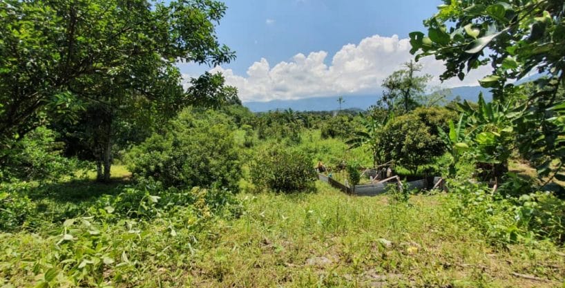 Tanah Pertanian Ulu Yam Hulu Selangor