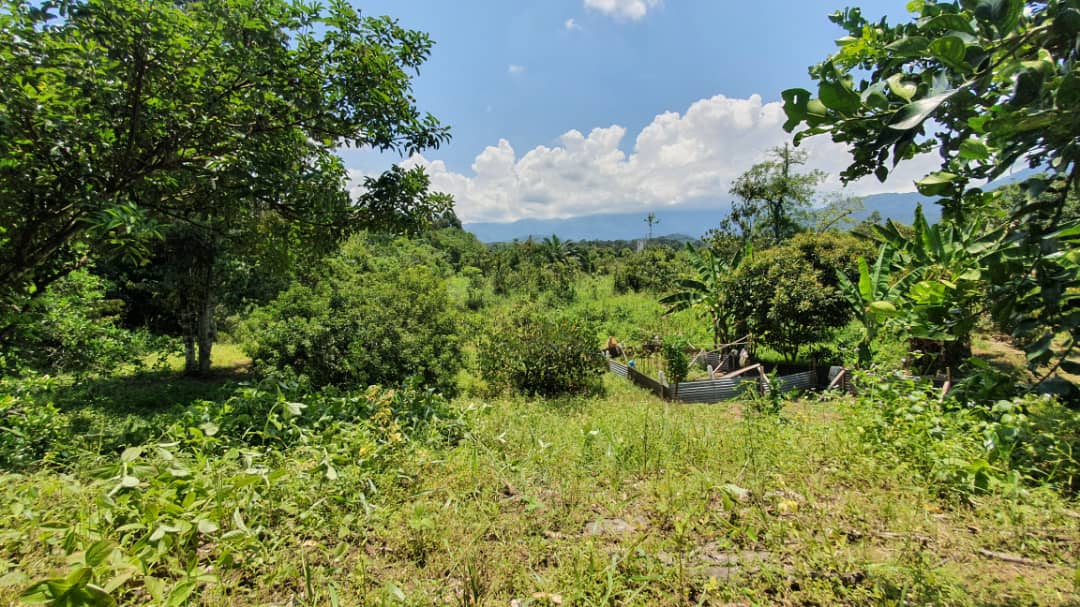 Tanah Pertanian Ulu Yam Hulu Selangor