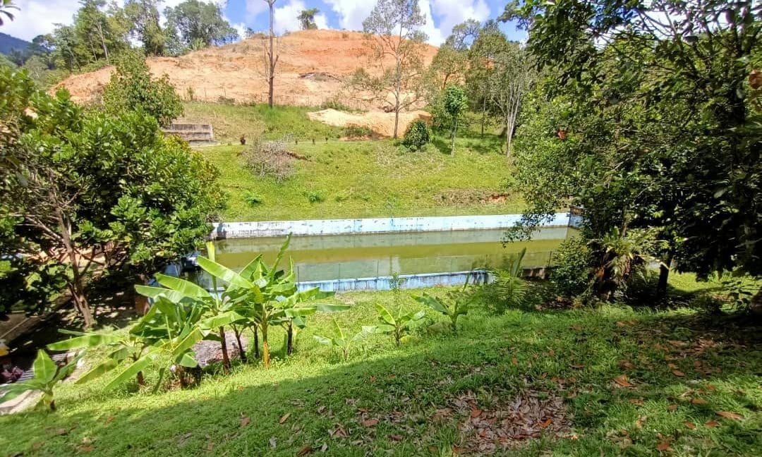 de245c3b-feb1-4d8d-a98c-d0fe79081ccb