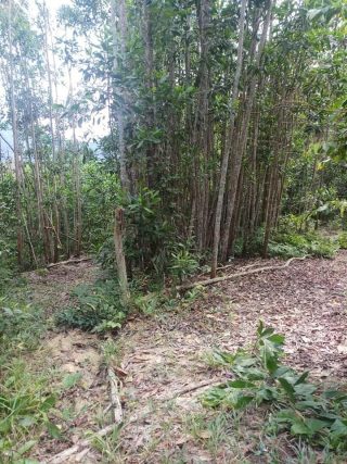 Tanah Jelebu Negeri Sembilan