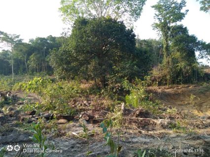 Tanah Kampung Rembang Panas