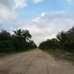 Tanah Jenjarom Kuala Langat