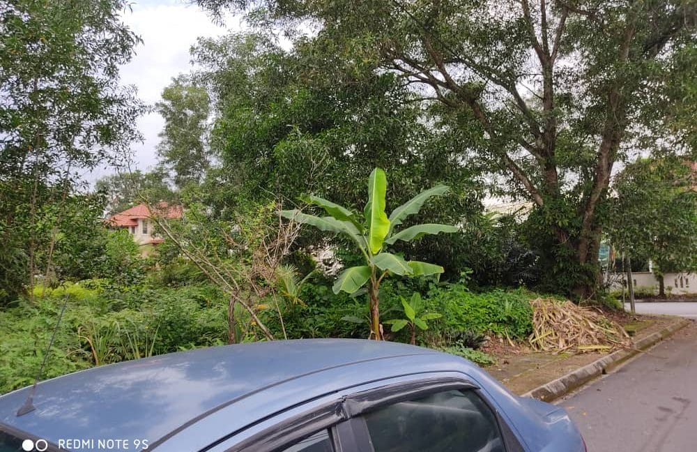 008c54d6-dde8-4ac9-9d38-4d50ad775823