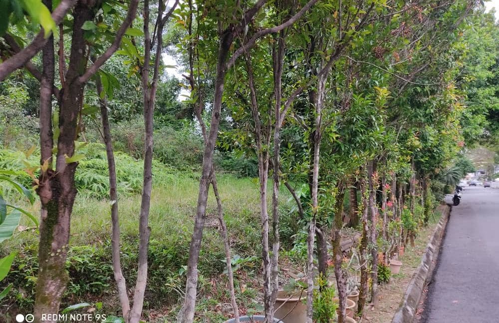 c757d253-916b-49ea-ab3e-34c4f5413ddc