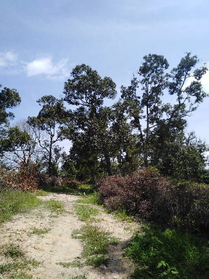 Kampung Cinta Manis Sertik Bentong