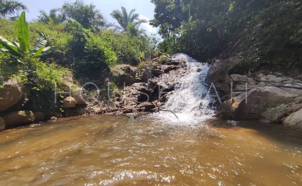 d3994253-4c18-486f-8a1c-c352c0903b14