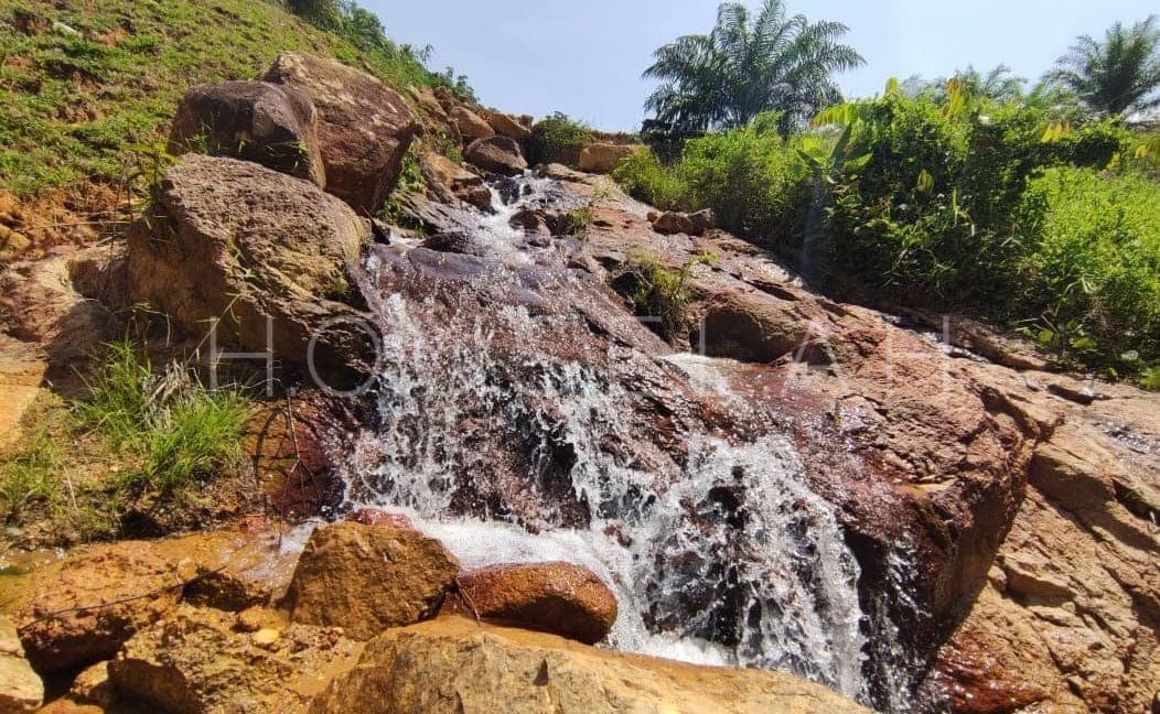 daee2af3-3171-4b36-80b7-f5a8dcbfb11f