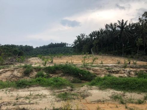 Sungai Selisek Ulu Bernam