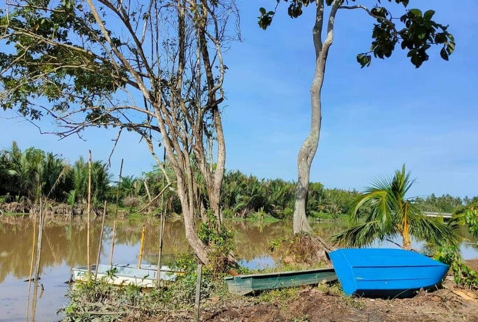 6ea689db-3f02-4a49-9981-2fe7996bde1f