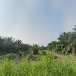 Tanah Jalan Dato Hormat Pulau Indah Klang