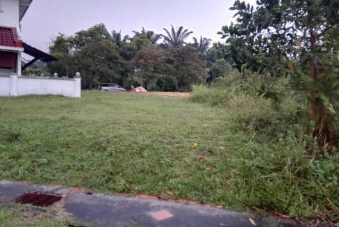 Laman Kemboja Kota seriemas Nilai