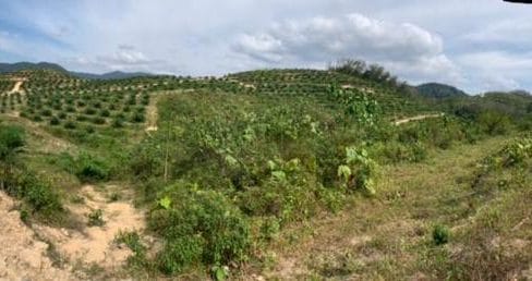 Tanah Pertanian Lenggeng