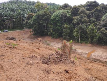 Ejen Tanah Pilin Rembau