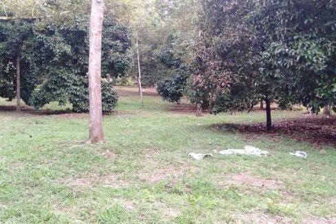 Tanah dusun Rantau Seremban