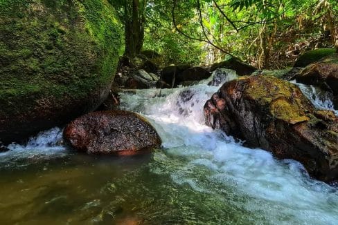 Tanah Dusun Ulu Jelebu Kuala Klawang