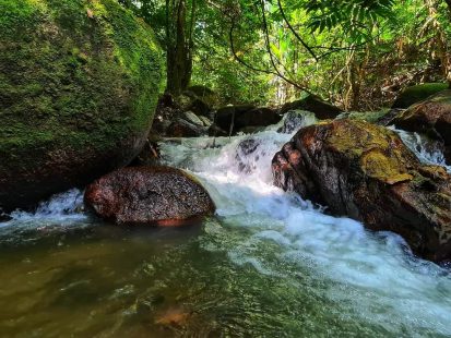 Tanah Dusun Ulu Jelebu