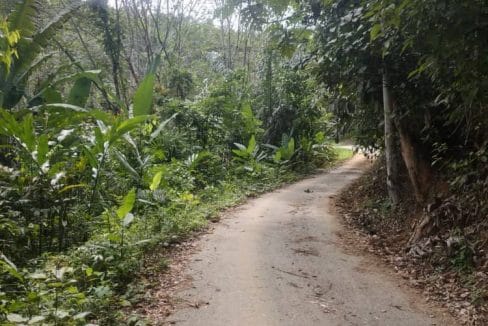 Tanah Dusun Peradong Jelebu