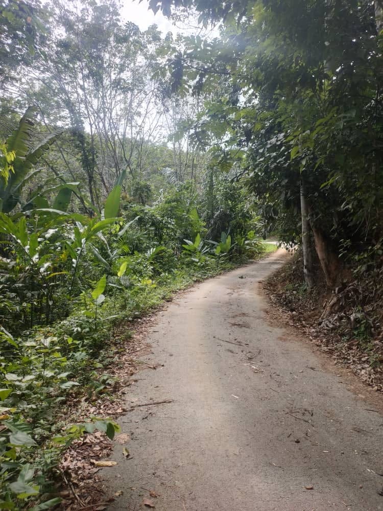 Tanah Dusun Peradong Jelebu