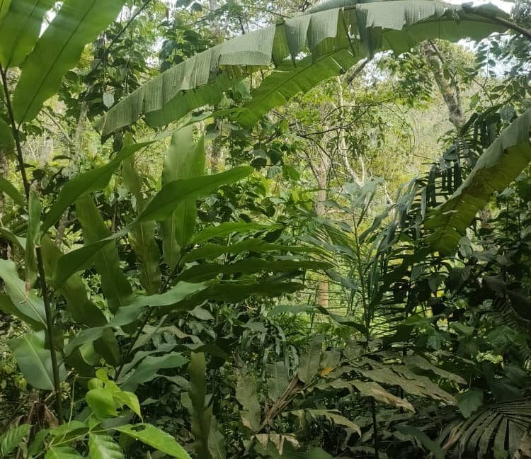 263506003_436496378149394_5166992420208229657_n