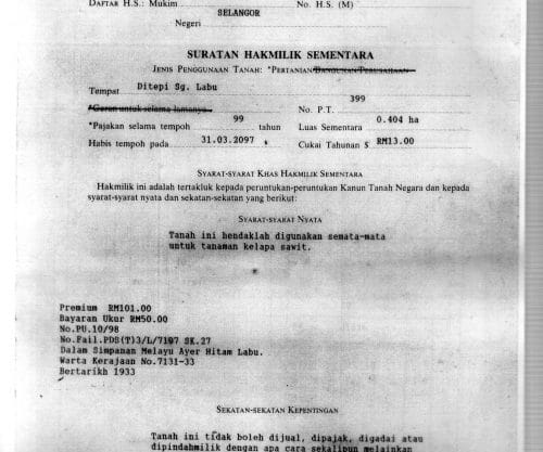 Tanah Pertanian Kampung Giching Labu Lanjut