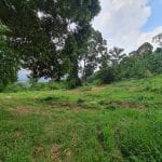 Tanah Dusun Jeram Lenggeng