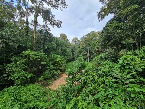 Dusun Kemin Ulu Klawang