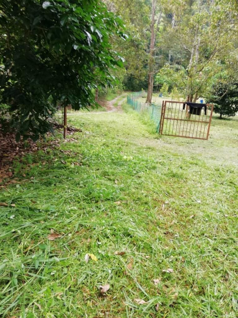 Tanah Kenaboi Jelebu