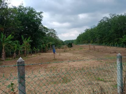 Tanah kebun Tampin
