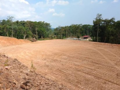 Tanah kebun Rembau