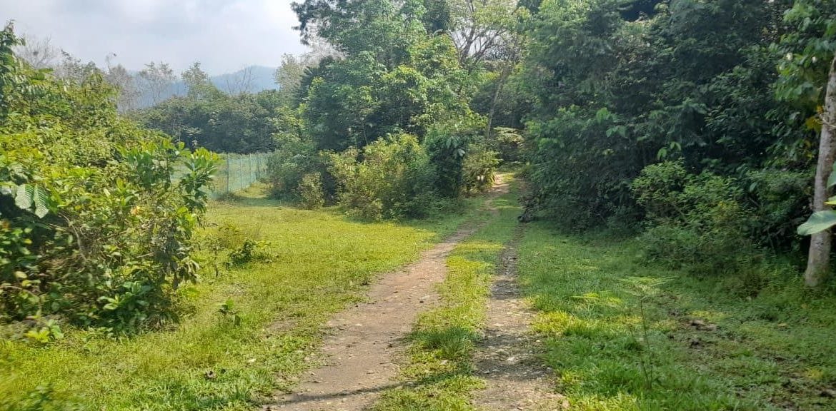 14ad827a-693d-4425-95a7-454bf3e07402