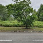 Bungalow Lot Bandar Bukit Mahkota Seksyen 9 Kajang