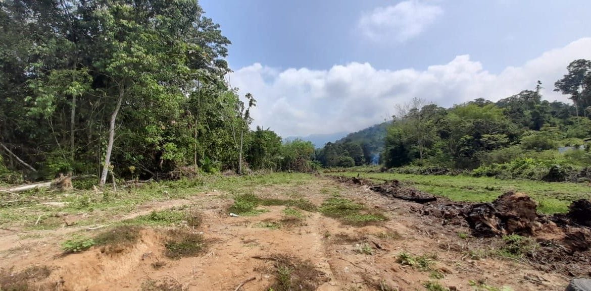 333e5ebf-1b2c-4539-8591-52955506987a