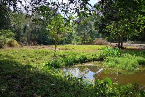 Tanah Kebun Kuala Pilah