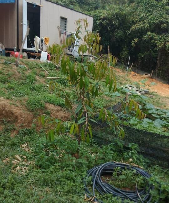 5b05e840-de17-4b73-ba48-75ea9879091d