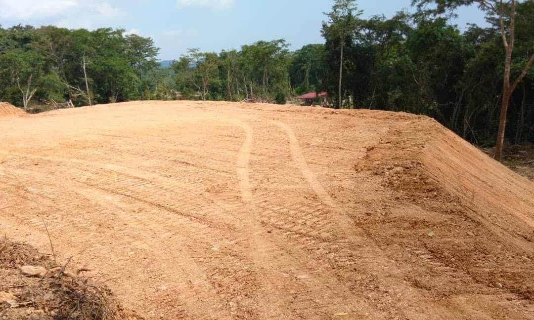 6820d19a-019f-4f9a-be1c-92e3f7c2e08e