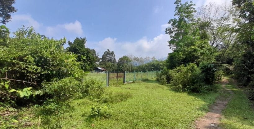 Tanah Kampung Gatuh Pantai