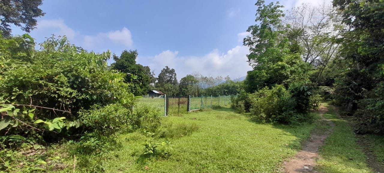 Tanah Kampung Gatuh Pantai