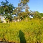 Tanah Lenggeng Mantin