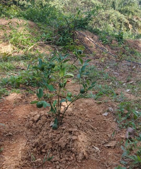 87aa8c6d-6076-4be0-9761-ff5a731d58bf