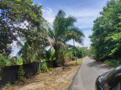 Land Kampung 107 Sendayan