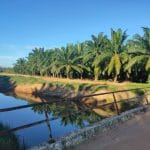 Kebun Sawit Sungai Raya Pasir Panjang Port Dickson